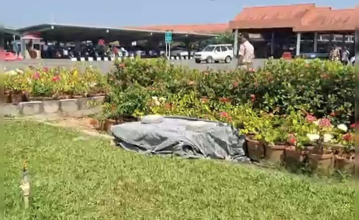 कोचीन हवाई अड्डे पर चैनल में गिरने के बाद 3 -वर्ष की मृत्यु हो जाती है