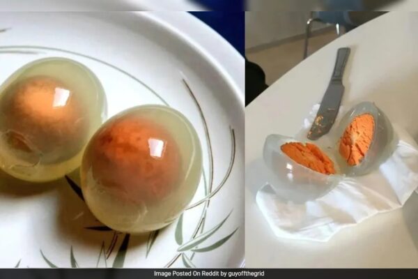जब वे घायल हो जाते हैं तो क्या पेंगुइन अंडे पारदर्शी हो जाते हैं? विज्ञान क्या कहता है