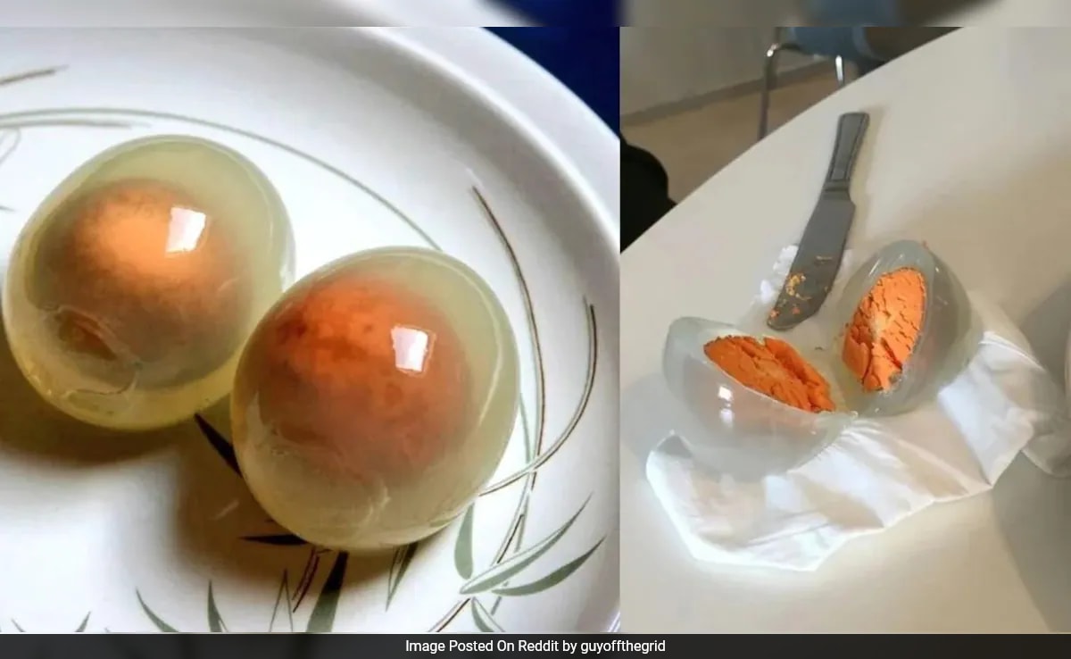 जब वे घायल हो जाते हैं तो क्या पेंगुइन अंडे पारदर्शी हो जाते हैं? विज्ञान क्या कहता है