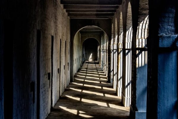 सिंगापुर के लिए पिल्ला तस्करी से जुर्माना, कैद भारतीय मूल का आदमी