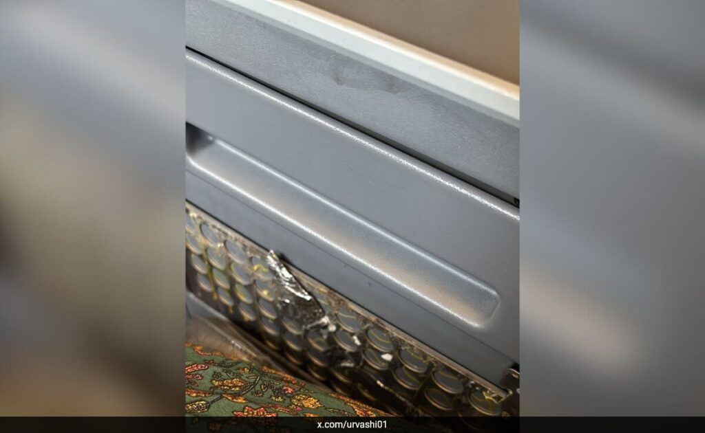 रोटा भारतीय कार्यकारी वर्ग की सीट में महिला