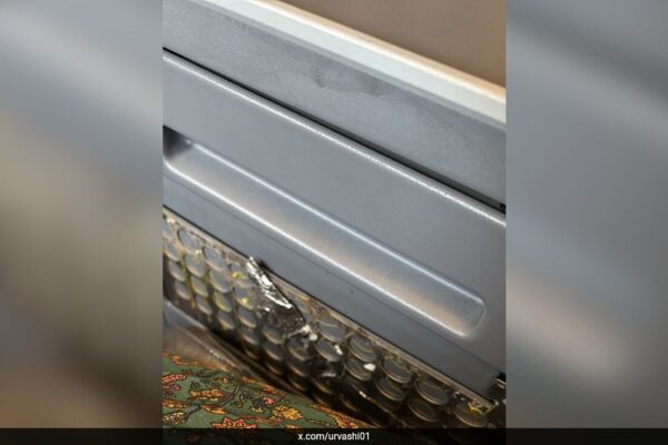 रोटा भारतीय कार्यकारी वर्ग की सीट में महिला