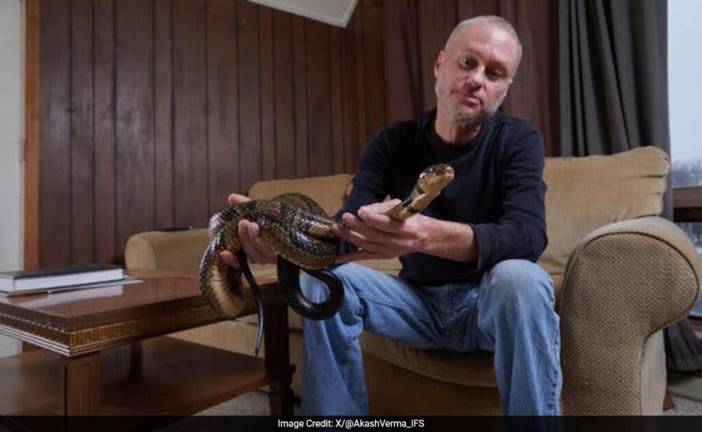 अमेरिकन मैन अपने रक्त से अंतिम एंटीवेनम बनाने के लिए 200 से अधिक साँप कॉइल का समर्थन करता है