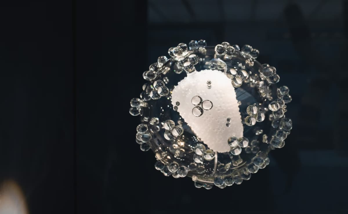 स्वार्थी “” जीन “के इंट्रोनेटर आनुवंशिक जटिलता का एक मुख्य स्रोत साबित होते हैं: अध्ययन