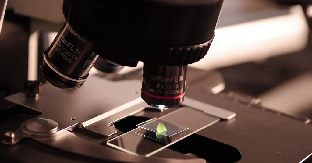 आज फोकस में गान बायोसाइंसेस आईपीओ असाइनमेंट और जीएमपी; आवंटन की स्थिति, सूची तिथि और अधिक सत्यापित करें