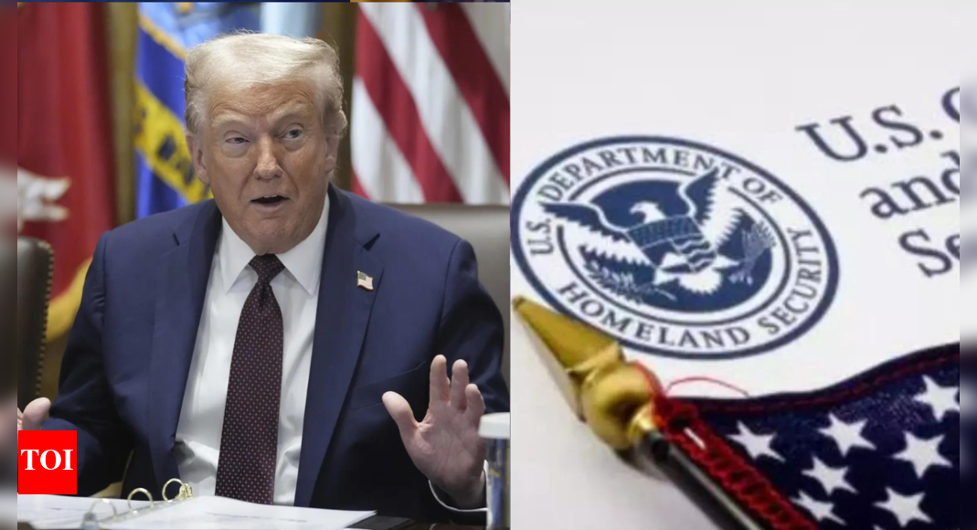 संयुक्त राज्य अमेरिका का कहना है कि कोई नया वीजा नहीं है: ट्रम्प ने 600,000 चीनी छात्रों के लिए दरवाजे नहीं खोले; व्हाइट हाउस राजनीति को स्पष्ट करता है