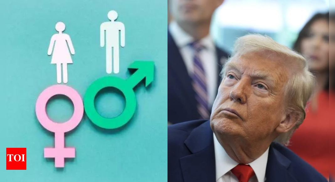 ‘जहर इन मन’: लिंग पहचान के खिलाफ ट्रम्प का दमन; वह कहते हैं कि चेहरे की रियायत के पाठ्यक्रम या कटौती की समीक्षा करें