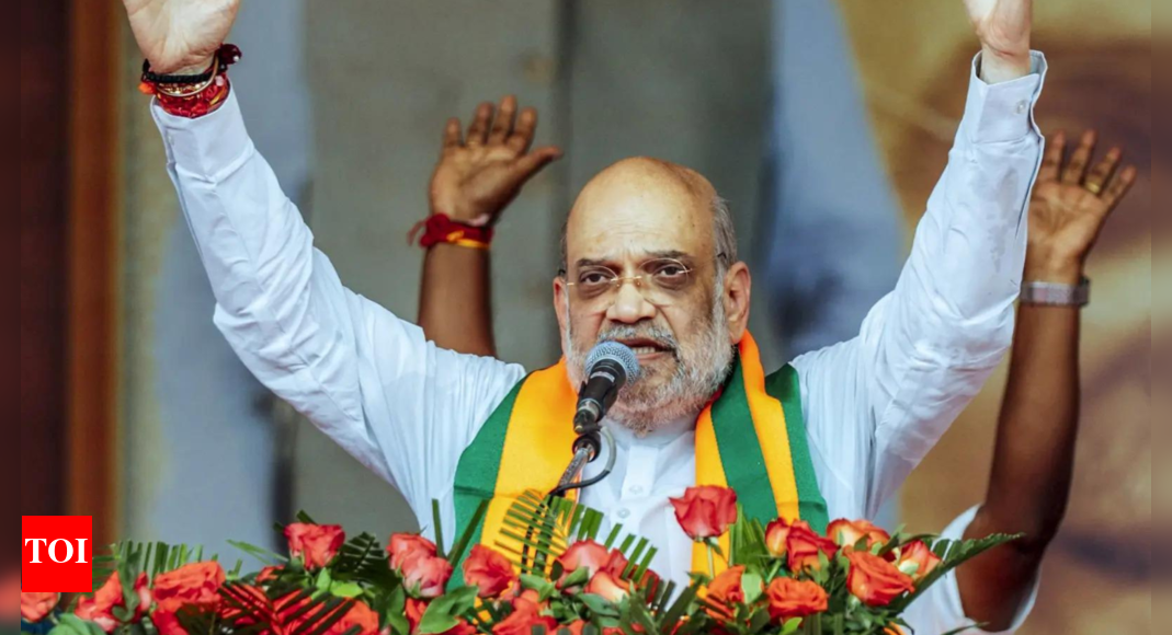 ‘वह अवैध विदेशियों से भारत से लड़ेंगे’: अमित शाह असम में वोट का नवीनीकरण करता है; प्रशंसा पूर्व सीएम बोरबोर | भारत समाचार