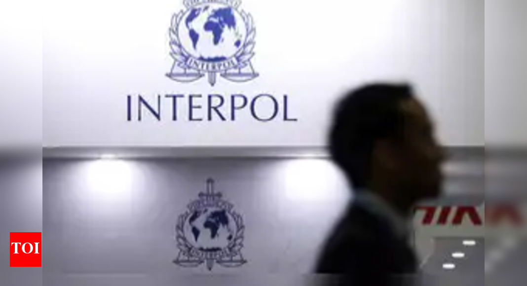 एड का आश्वासन पहले इंटरपोल ‘पर्पल चेतावनी’ | भारत समाचार