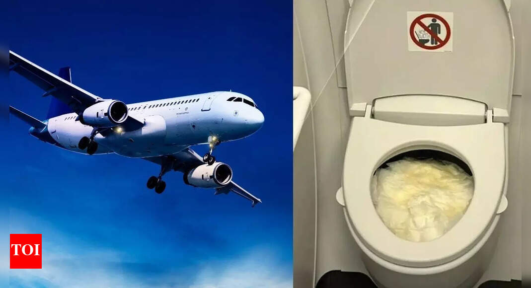 30,000 फीट शौचालय संकट: यात्रियों ने स्नान की विफलता के बाद वर्जिन ऑस्ट्रेलिया से उड़ान पर बोतलें पहनने के लिए मजबूर किया दुनिया से समाचार
