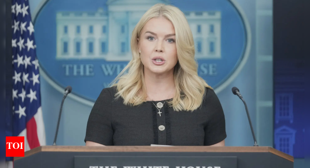 ’15 बार अधिक ‘: करोलिन लेविट ने दिल्ली, इस्लामाबाद के साथ शिकागो की हत्या दर की तुलना की; एक नए कार्यकारी आदेश के लिए स्लैम गवर्नर | भारत समाचार