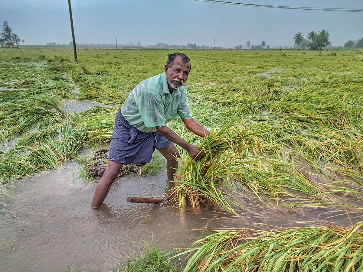 तमिलनाडु सरकार 17,000 मिलियन रुपये किसानों की खेती ऋण प्रदान करेगी
