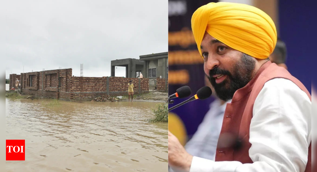 ‘मांगना अधिकार, भिखारी नहीं’: पंजाब सीएम मान केंद्र से 60,000 रुपये 60,000 लंबित धन जारी करने के लिए कहता है; बाढ़ से प्रभावित दृश्य क्षेत्र | भारत समाचार
