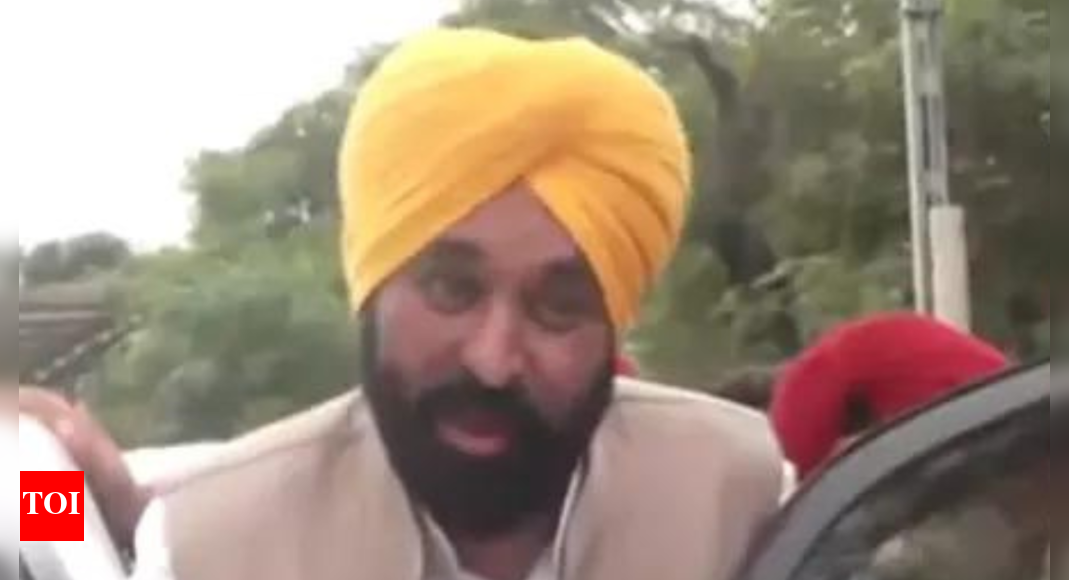 1988 की बाढ़ से अधिक गंभीर स्थिति, उम्मीद है कि पूरा देश पंजाब के साथ होगा: भागवंत मान | भारत समाचार