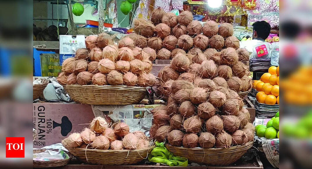 बागवानी कॉर्प चतुर्थी से परे नारियल के आयात के साथ जारी रखना है गोवा न्यूज