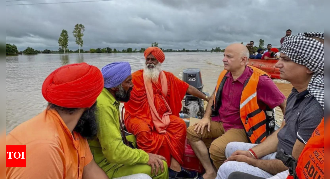पंजाब में वर्षा रोष: दशकों में सबसे खराब आपदाओं में से एक के साथ काम करना; सीएम मान ने बाढ़ को ‘गंभीर दैट 1988’ कहा है | भारत समाचार