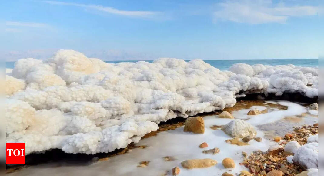मृत सागर का रहस्य: अजनबी ‘नमक की बर्फ’ नीचे छिपी हुई संरचनाओं की व्याख्या कर सकती है दुनिया से समाचार