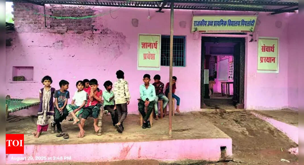 स्कूल को जारी रखना चाहिए, इसलिए राजस्थान में किसान परिवार के साथ घर चला जाता है भारत समाचार