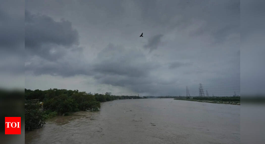 बाढ़ 87 बीएसएफ सीमा अग्रिमों को डुबो देती है; 110 किमी स्ट्रेचिंग के साथ क्षतिग्रस्त बाड़ | भारत समाचार