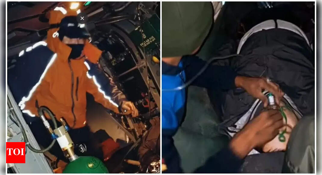 लद्दाख में दो दक्षिण कोरियाई पर्वतारोहियों को बचाया गया, एक मर गया | भारत समाचार