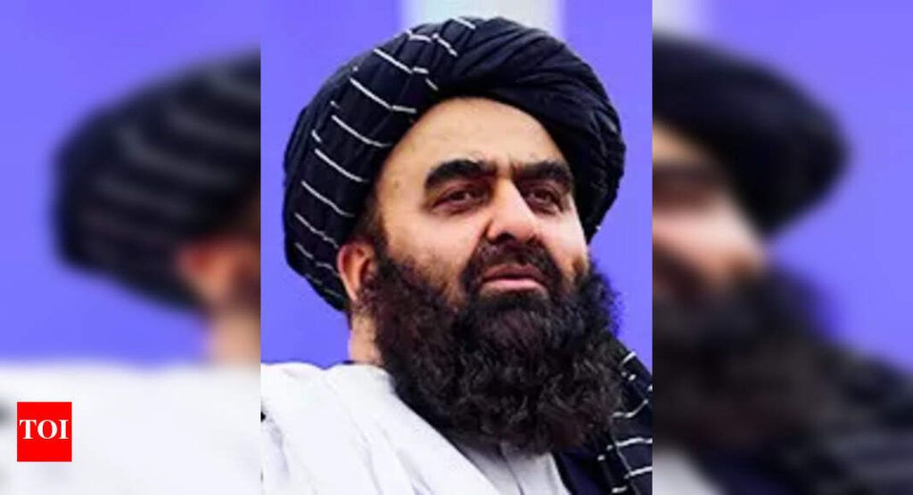 मंत्री तालिबान के भारत की यात्रा यात्रा छूट की समस्याओं से मिलती है | भारत समाचार