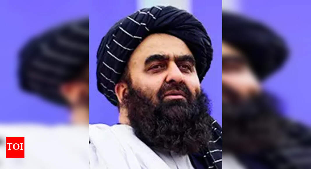 मंत्री तालिबान के भारत की यात्रा यात्रा छूट की समस्याओं से मिलती है | भारत समाचार