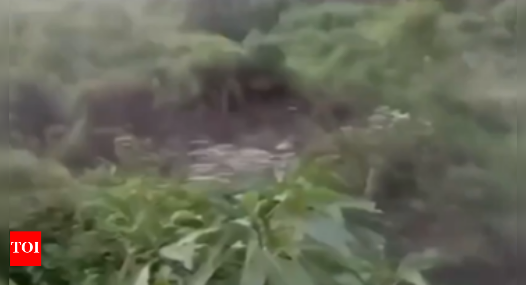 हिमाचल प्रदेश भूमि भूस्खलन: चौकर शहर के पास पहाड़ियों का सामूहिक पतन – घड़ी | शिमला न्यूज