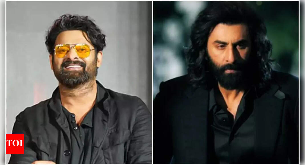 प्रभास ” आत्मा ‘: संदीप रेड्डी वंगा ने पुष्टि की कि फिल्म रणबीर कपूर के’ एनिमल ‘की तरह होगी; उत्पादन समय बचाने के लिए पूरा बीजीएम – रिपोर्ट | हिंदी फिल्म समाचार