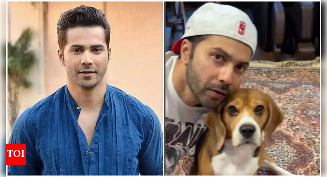 वरुण धवन ‘बिजयुरिया’ के लिए सबसे अच्छा डांस पार्टनर पाता है; वह कहता है: ‘सॉरी जनहवी कपूर’ | हिंदी फिल्म समाचार वरुण धवन ‘बिजयुरिया’ के लिए सबसे अच्छा डांस पार्टनर पाता है; वह कहता है: ‘सॉरी जनहवी कपूर’ | हिंदी फिल्म समाचार