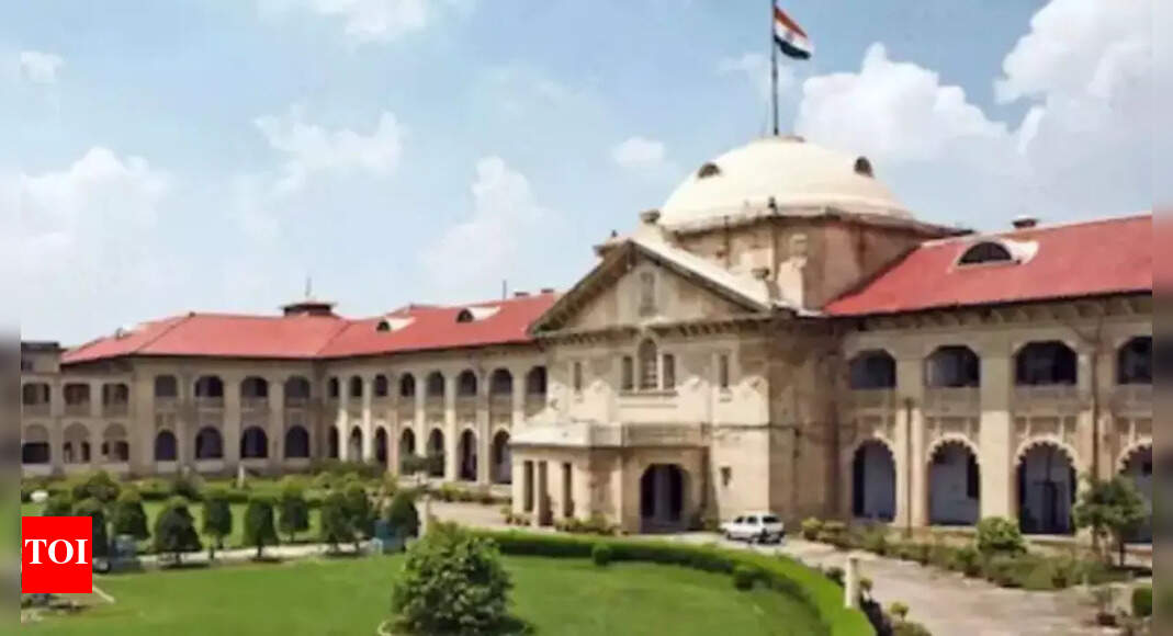 इलाहाबाद एचसी का कहना है कि जो आदमी तिरछा का अपमान करता है, वह सहानुभूति के लायक नहीं है, बंधन से इनकार करता है | भारत समाचार