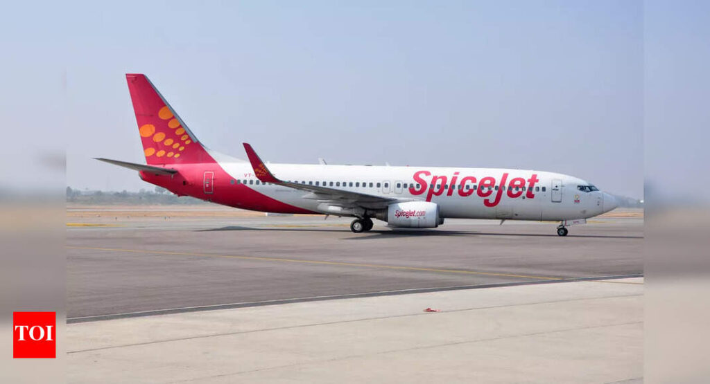 स्पाइसजेट विमान कंदला में उतारकर टायर खो देता है भारत समाचार
