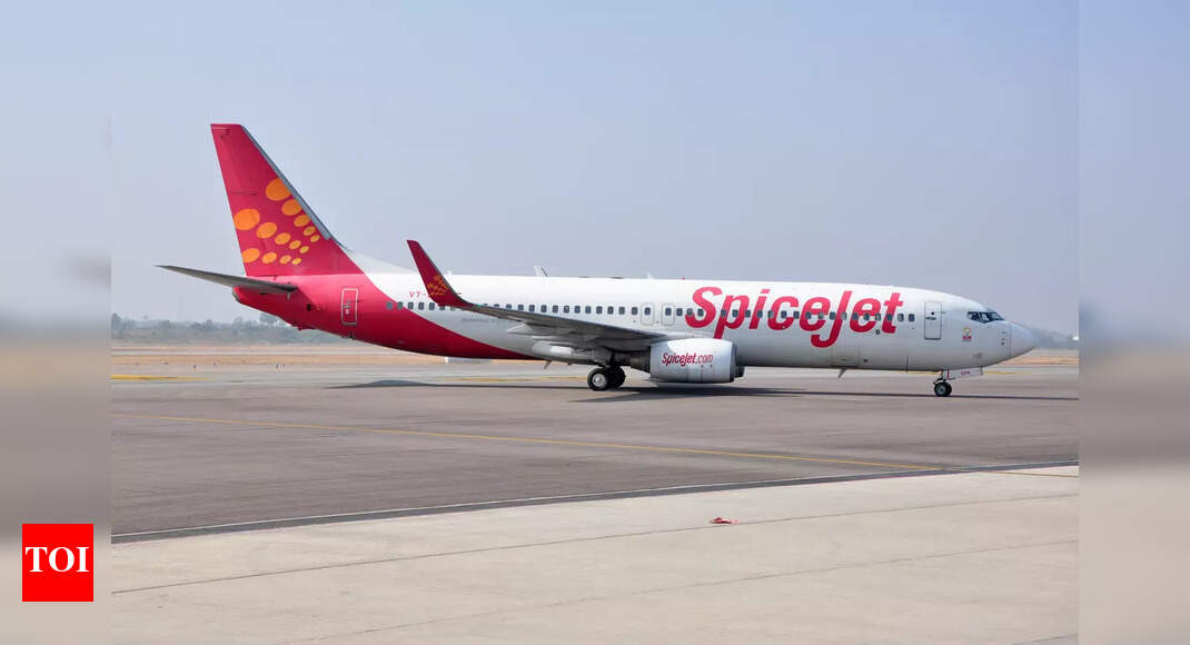स्पाइसजेट विमान कंदला में उतारकर टायर खो देता है भारत समाचार
