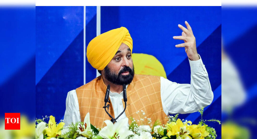 पंजाब सीएम भगवंत मान समय पर वादा करते हैं, बाढ़ से प्रभावित परिवारों के लिए अधिकतम मुआवजा | भारत समाचार