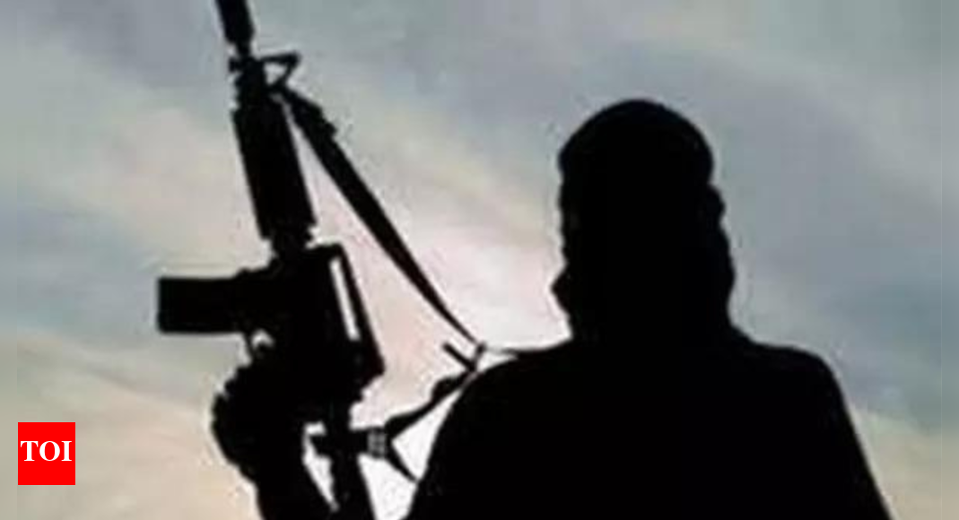 छत्तीसगढ़: बीजापुर की बैठक में नक्सालिटा को मार दिया गया; हथियार, जब्त विस्फोटक | भारत समाचार