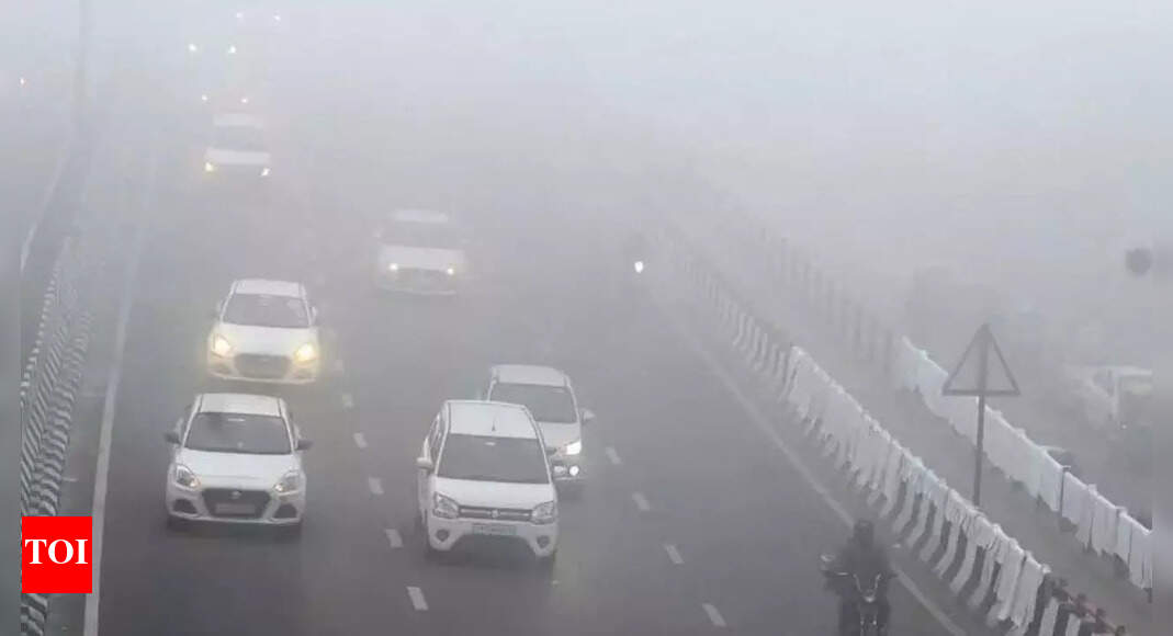 लड़की शायद साल के अंत तक, भारत में एक ठंडी सर्दी ला सकती है: विशेषज्ञ | पुणे न्यूज
