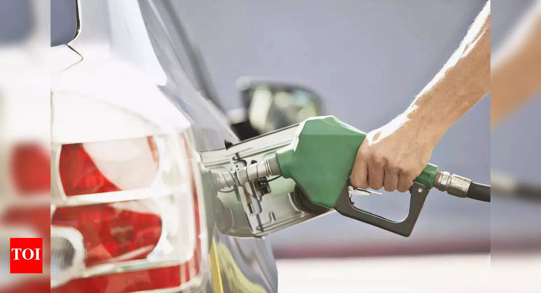 पुरी का सुझाव है कि एक इथेनॉल विराम, कचरा और मोटर क्षति पुष्टि | भारत समाचार