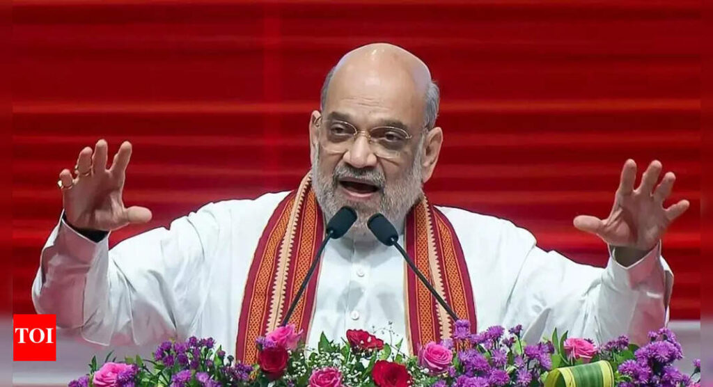 ‘पीएम मोदी ने सीमाओं की सुरक्षा का आश्वासन दिया’: अमित शाह ओप सैंडूर; बिहार भगवान के बारे में उन्होंने क्या कहा | भारत समाचार