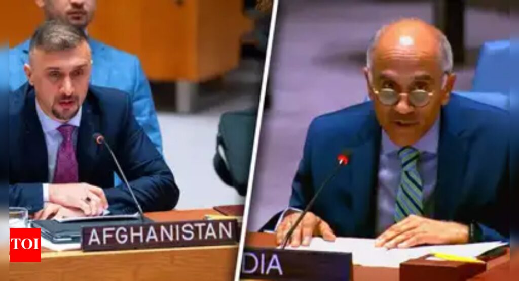 ‘पैरामाउंट इंटरेस्ट’: भारत ने संयुक्त राष्ट्र से अफगानिस्तान में पाकिस्तान के आधार पर डरावनी खतरों को रोकने का आग्रह किया; चलो उद्देश्य, जेम | भारत समाचार
