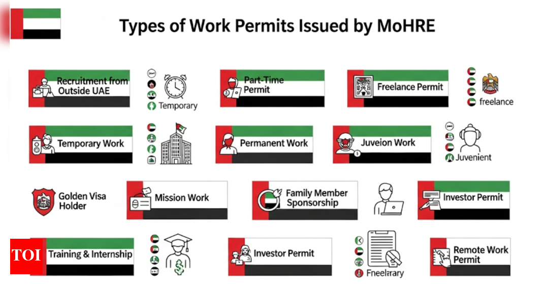 EAU के 13 आधिकारिक कार्य परमिट: पात्रता, आवश्यकताओं के बारे में पूरा विवरण, समझाया गया | दुनिया से समाचार