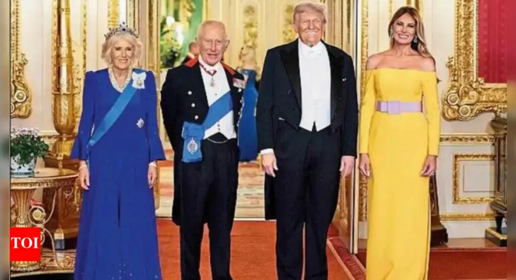 वह फिलिस्तीन को मान्यता देने वाले यूनाइटेड किंगडम से सहमत नहीं हैं: ट्रम्प