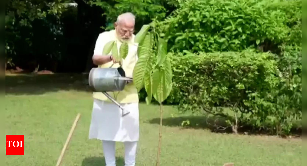 घड़ी: पीएम मोदी प्लांट ए कदम्ब फायरिंग; किंग चार्ल्स ने इसे अपने जन्मदिन के लिए दिया | भारत समाचार