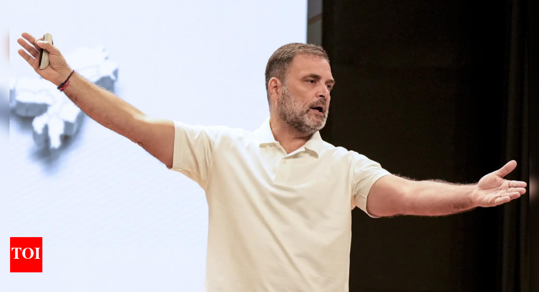 ‘मतदाताओं का प्रतिनिधिमंडल ऑनलाइन नहीं संभव नहीं’: ईसी ने राहुल गांधी के दावे का खंडन किया; कानून और नियत प्रक्रिया अधिनियम | भारत समाचार