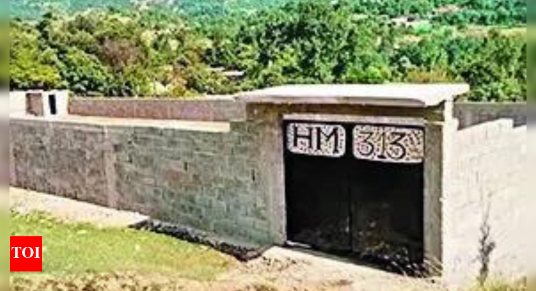 सिंदूर ऑपरेशन के बाद, पाकिस्तान के मुख्य आतंकवादी समूह जो आधार को अफगानिस्तान की सीमा में बदलते हैं भारत समाचार