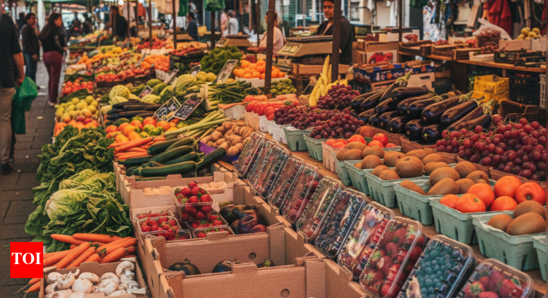 सऊदी अरब फलों और सब्जियों के लिए नए पैकेजिंग नियम जारी करता है: आपूर्तिकर्ताओं और आपूर्तिकर्ताओं को क्या पता होना चाहिए दुनिया से समाचार