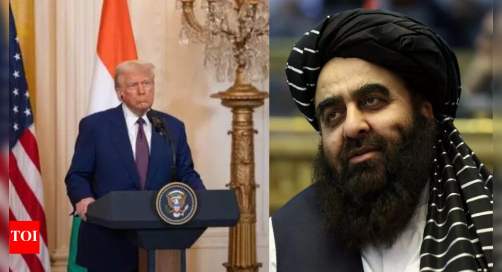 ‘नॉट ए लैंड मीटर’: अफगानिस्तान ने ट्रम्प की बाग्रम की मांग को खारिज कर दिया, स्वतंत्रता गैर -नामकरण योग्य है दुनिया से समाचार ‘नॉट ए लैंड मीटर’: अफगानिस्तान ने ट्रम्प की बाग्रम की मांग को खारिज कर दिया, स्वतंत्रता गैर -नामकरण योग्य है दुनिया से समाचार