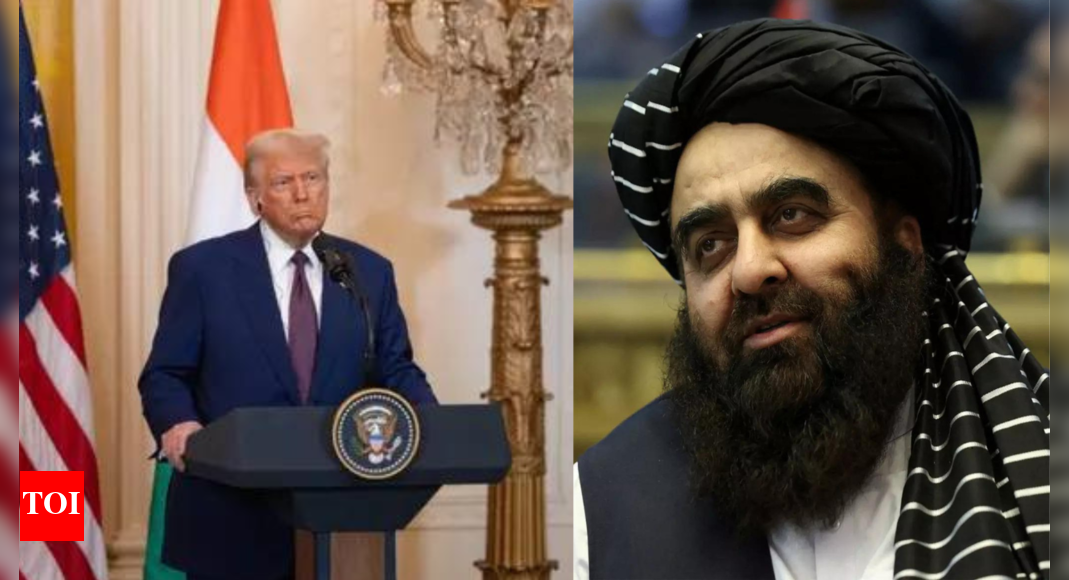 ‘नॉट ए लैंड मीटर’: अफगानिस्तान ने ट्रम्प की बाग्रम की मांग को खारिज कर दिया, स्वतंत्रता गैर -नामकरण योग्य है दुनिया से समाचार