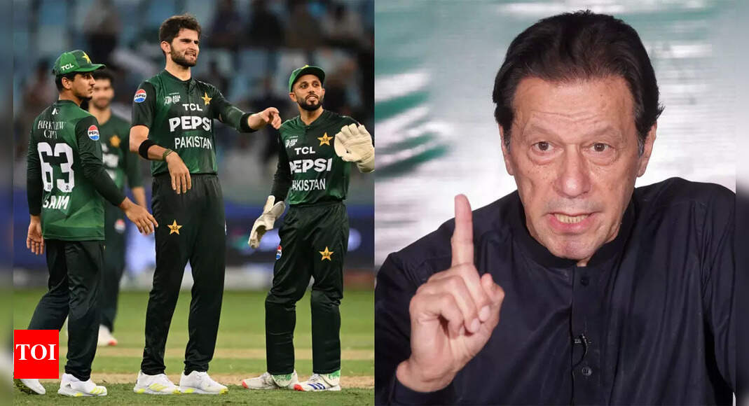 “भारत को पार करने का एकमात्र तरीका यह है कि क्या पीसीबी मोहसिन नक़वी और मुनीर बैट जीन के प्रमुख के रूप में ओपनर्स के प्रमुख”: इमरान खान ने पाकिस्तान पर हमला किया। क्रिकेट समाचार