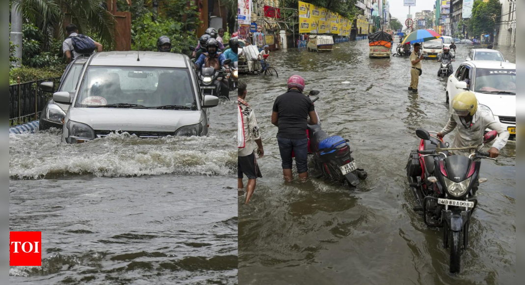 त्योहार से पहले क्लाउड दिनों के करीब एक शिकार फंड के रूप में 8 मृत | कोलकाता न्यूज