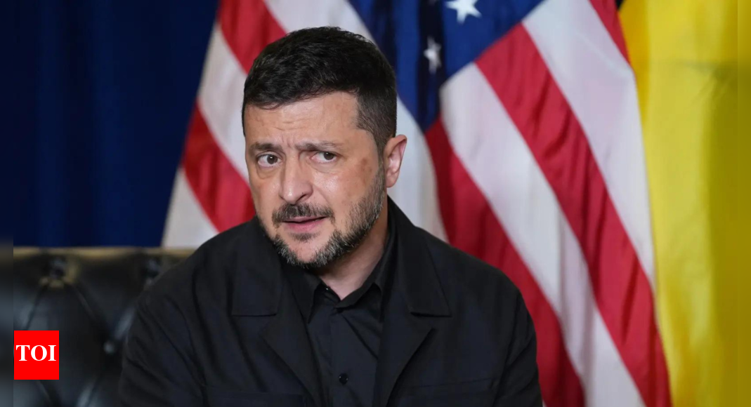 भारत मुख्य रूप से हमारे साथ, ज़ेलेंस्की कहते हैं, अधिक उम्मीद है | भारत समाचार