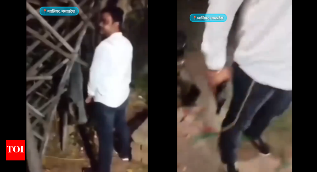 ‘अपनी बेटी को रात में अंदर रखें’: ग्वालियर का आदमी बंदूक निकालता है जब उसे सार्वजनिक रूप से पेशाब नहीं करने के लिए कहा जाता है – देखो | भारत समाचार